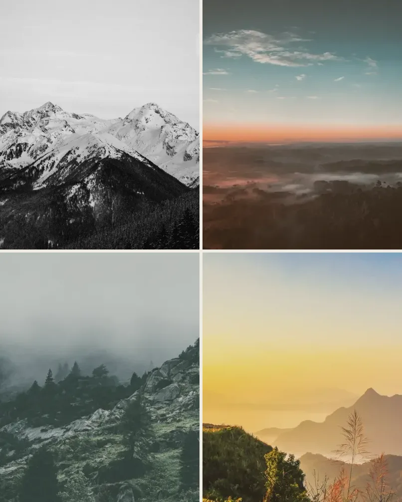 Hele esken: Alt i butikken: 40 foto-presets og 30 video-LUT-er.